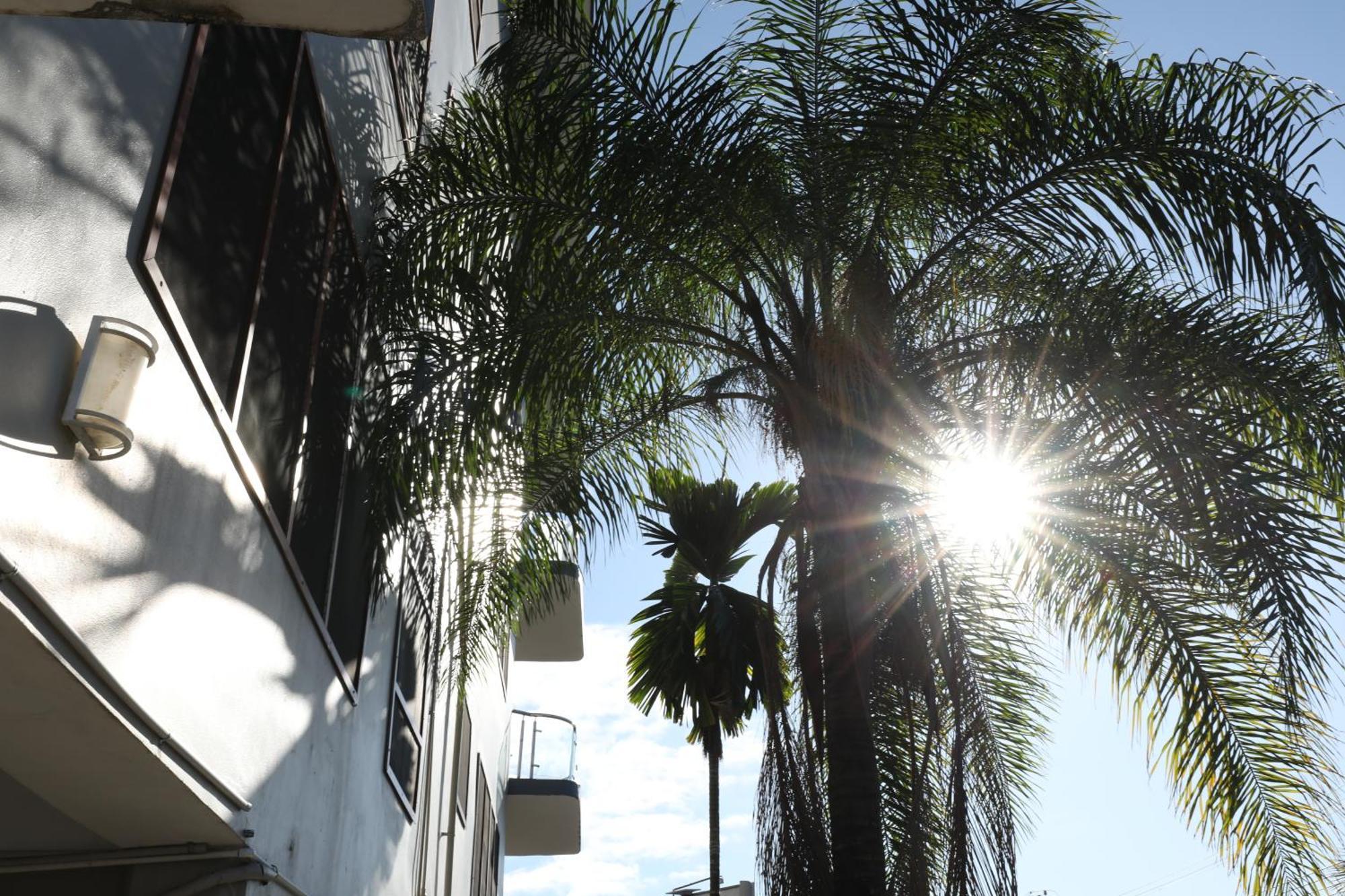 Apartment Tropical Plaza